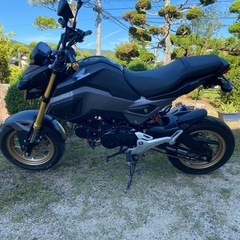 HONDA グロム　JC75の画像