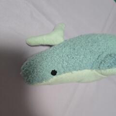 クジラ  くじら ぬいぐるみの画像
