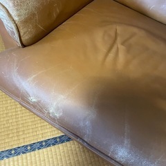 ソファ
の画像