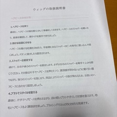 頭頂部人毛ウィッグ
 の画像