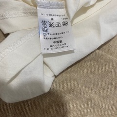 スローブイエナ　Vネック白Tの画像