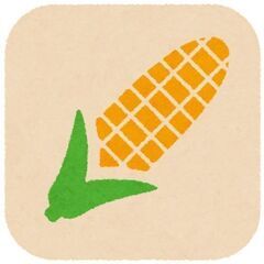 【日払いOK】★学生・シニア必見★週1からOK★ 時給1,390円★1ヶ月短期のお仕事!★野菜の加工作業《遠軽町》の画像
