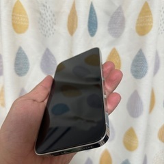 Iphone 12 promax の画像