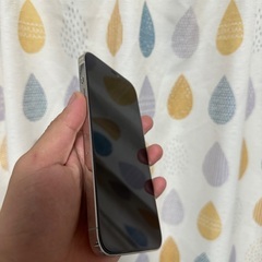 Iphone 12 promax の画像