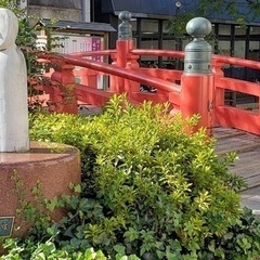 高知よさこい祭り　8月9日(土)宿泊1名　西鉄インはりまや橋【はりまや橋すぐ近く】ワイドシングルルームの画像