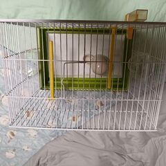 鳥のかご　無料の画像