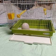 鳥のかご　無料の画像