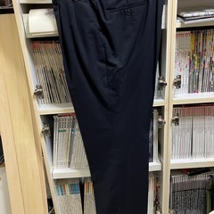 大きいサイズ　Wスーツ　E6 紺ストライプの画像