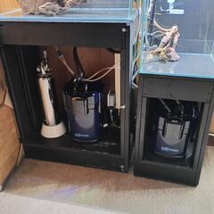水草水槽セット　オマケ多数の画像