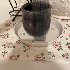 ミニ植木鉢　紫の画像