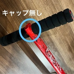 Pogo Stick JK-401  の画像