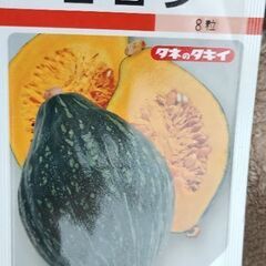 かぼちゃ　ロロンカボチャ約1600グラムの画像