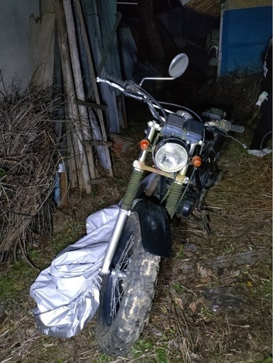 ヤマハTW200（値下げ可）