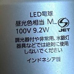 Panasonic LED電球の画像