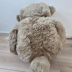 大きいセントラルソフトのくまのぬいぐるみの画像