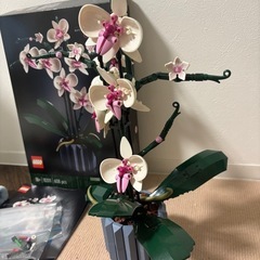 LEGO 胡蝶蘭　インテリアの画像