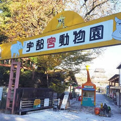 宇都宮動物園 8月3(日)14:00～ 第19回宇都宮動物園☆仲...