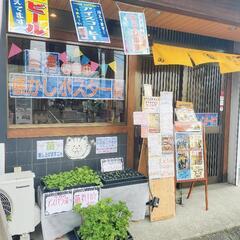 0円★苗、差し上げています★(今は、青じそ・芽キャベツ)の画像