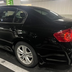【急募】V36スカイライン タイプPの画像