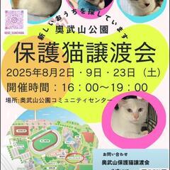 😸保護猫 譲渡会😸　