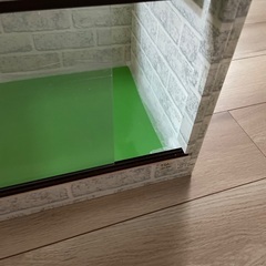 爬虫類飼育ケージ　中古　美品の画像