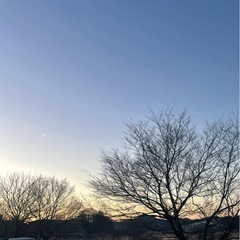 今日明日！