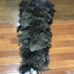 高級毛ばたきの画像