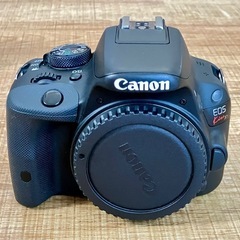 Canon デジタル一眼レフカメラ EOS Kiss X7 ダブルズームキット　プラス望遠レンズの画像
