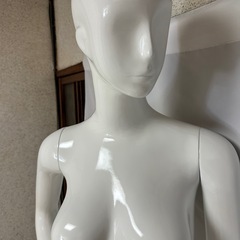 トルソー　女性全身　マネキンの画像