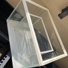 お譲り先決まりました！GEX 水槽 2個セットの画像