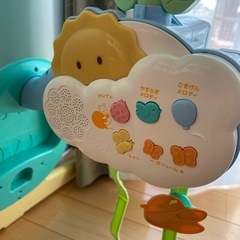 プーメリーの画像