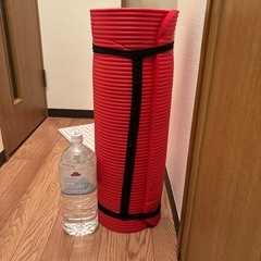 ヨガマットの画像