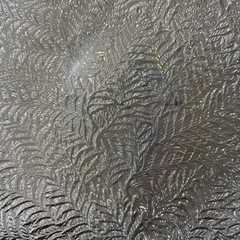 飾り皿　お皿のみ　の画像