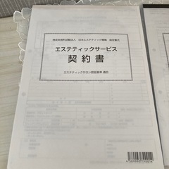 エステティックサービス概要書面、契約書の画像
