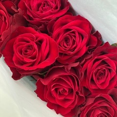 バラの花束の画像