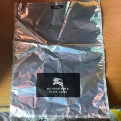 BURBERRY 袋　3点セットの画像