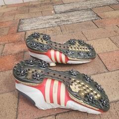 ゴルフシューズの画像