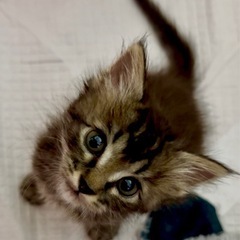 可愛すぎ？