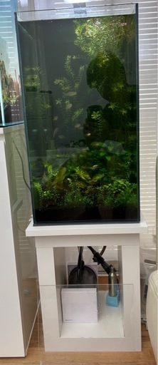 GEX 30センチキューブ　ハイタイプ希少　水槽セット