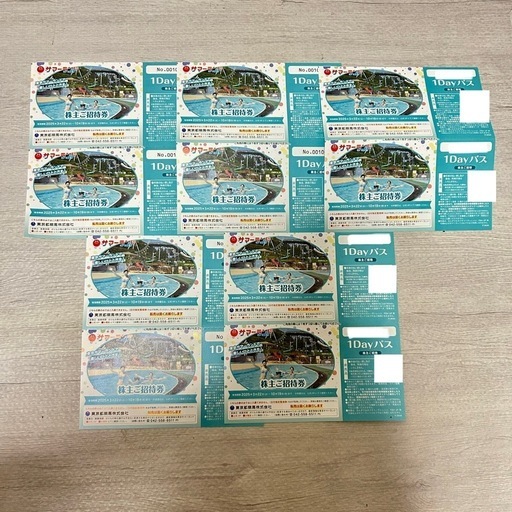 東京サマーランド 招待券 1Dayパス 9枚