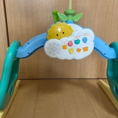 プーメリーの画像