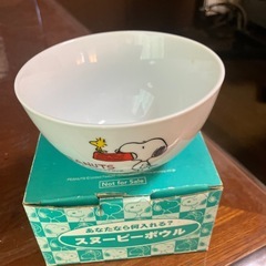 スヌーピーボウルの画像
