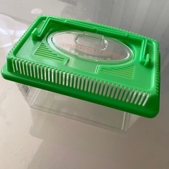 虫カゴ　小の画像