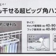 ピンチハンガー60ピンチの画像