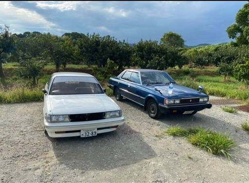 gx81マーク251クレスタ