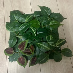 【極美品】IKEA　FEJKA フェイカの画像