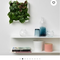 【極美品】IKEA　FEJKA フェイカの画像