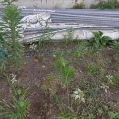 建築資材穴あきアングル?の画像
