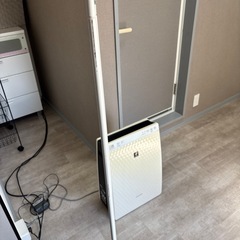 決定の画像