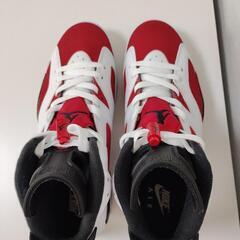 AIR  JORDAN 6 CARMINEの画像